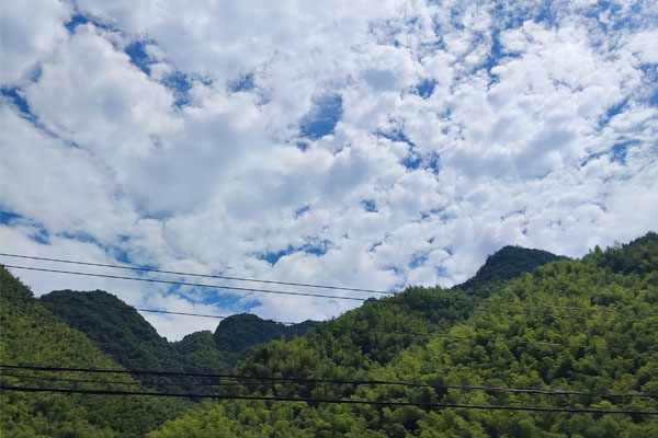 关于印发《重庆市促进实数融合推动“人工智能＋制造”若干政策》的通知