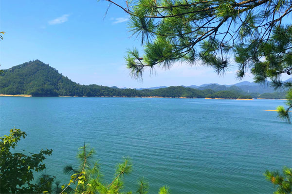 关于征集2026年度中国纺织机械协会团体标准计划项目的通知