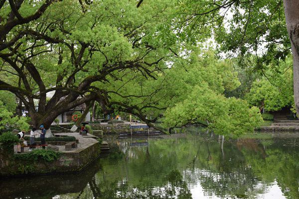 聚力专精特新 共筑产业未来—2026中国纺联春季联展【纺织专精特新专区】即将启幕