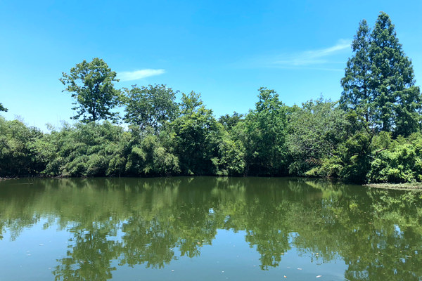 南阳市市长路红卫赴新野县调研纺织服装等产业