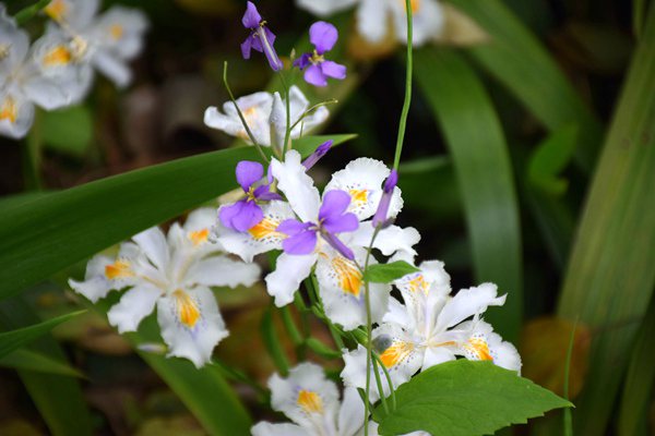 产业研究 | 2026年1-2月中国服装行业经济运行简报