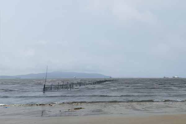 皮革防水：短支链氟醇的研究现状