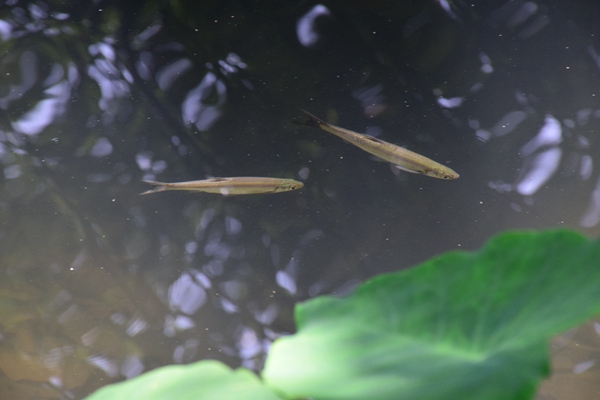 纺织品检测方法：易去污测试概念及标准简介（下）